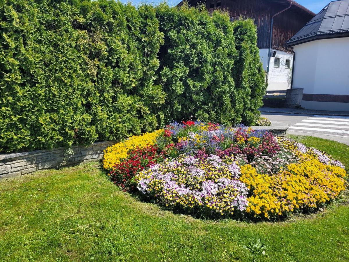 Ferienwohnung Schatz Breitenwang Εξωτερικό φωτογραφία